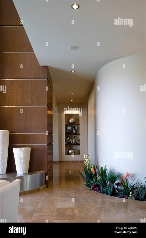 Hallway With Plants In Modern House Stock Photo Alamy