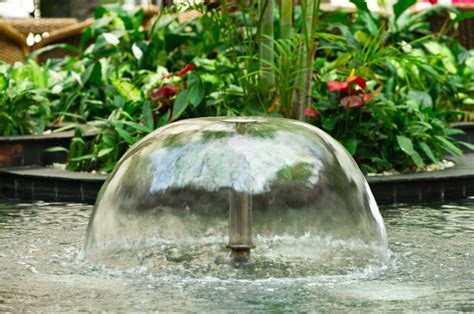 Diy Outdoor Fountain Pond Pond Fountain And Waterfall Projects You
