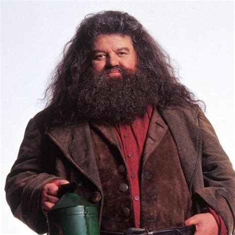 Rubeus Hagrid Detailed Information Photos Videos