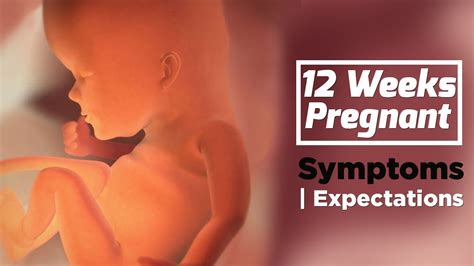 12 Weeks Pregnant Pregnancy Week By Week Symptoms The Voice Of