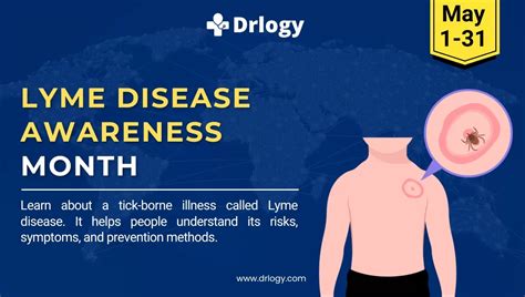 Lyme Disease Awareness Month May 2024 History And Importance Drlogy