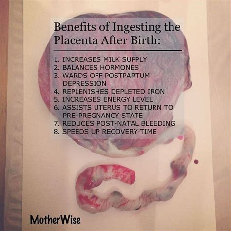 What Is The Benefit Of Placenta Encapsulation