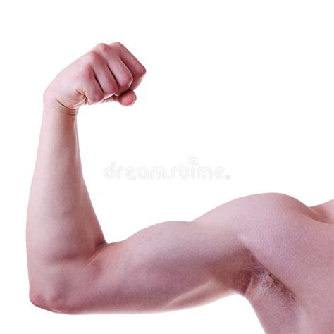 Men S Biceps Stock Photo Image Of Male Style Muscle 31194292