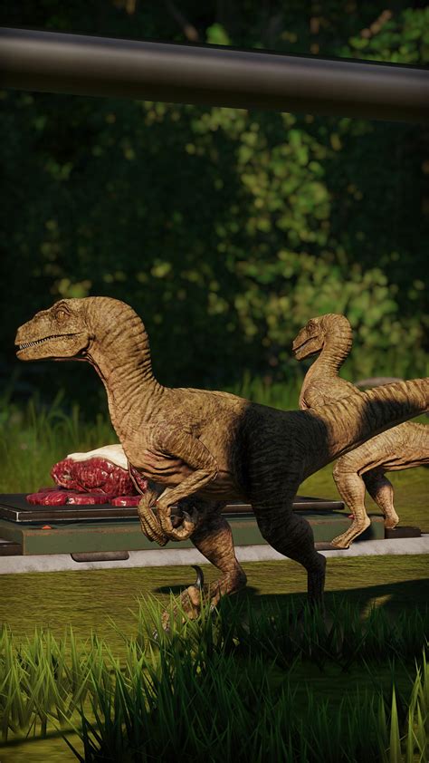 Velociraptors Look Great In The Jungle Rjurassicworldevo