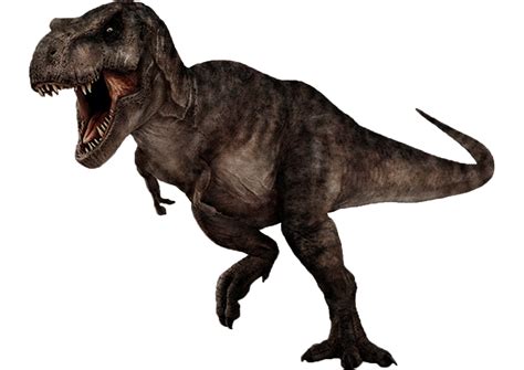 El Tyrannosaurus Rex Jurassic Park Dinosaurio Imagen Png Imagen My Xxx Hot Girl