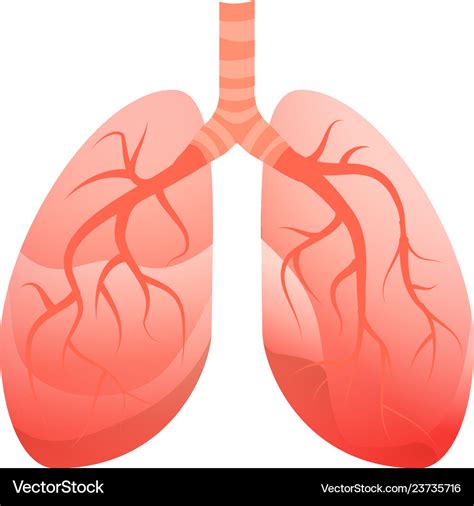 Human Lungs Icon Cartoon Style Royalty Free Vector Image