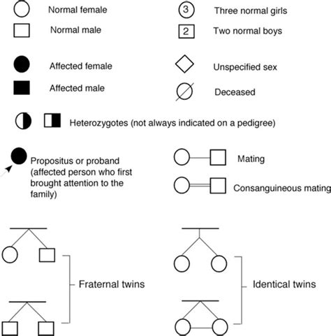 How To Read A Pedigree Chart