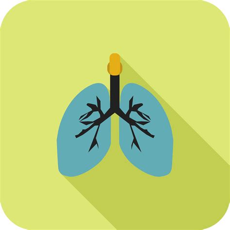 Lungs Flat Long Shadow Icon 331331 Vector Art At Vecteezy