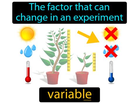 Variable Definition Easy To Understand