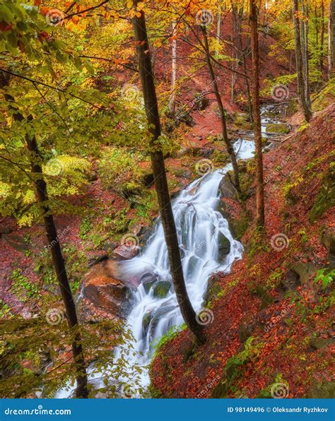 Autumn Creek Woods With Yellow Trees Foliage And Rocks In Forest Stock