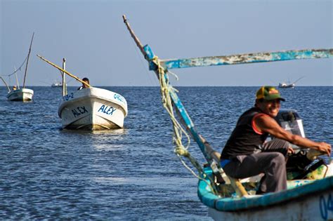 Pesca Furtiva Amenaza Especies Marinas Y Comunidades Ribereñas De