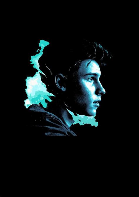 Shawn Mendes Illuminate Tour 1 Digital Art By Raisya Irawan Pixels