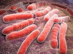 Tb is primarily spread from person to person in an airborne manner, such as when an infected person coughs or sneezes. Is tuberculosis an autoimmune disease?