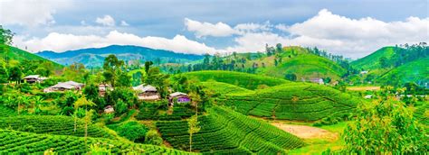 10 Best Countryside And Village Visits Tours In Sri Lanka Compare