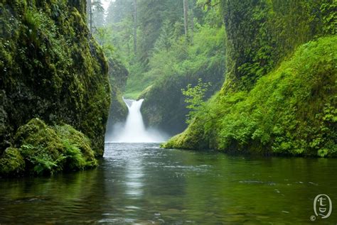 Eagle Creek To Tunnel Falls Beautiful Waterfalls Oregon Waterfalls