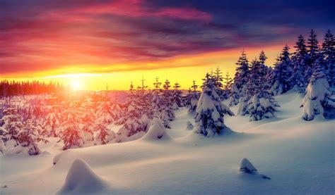 Gorgeous Winter Sunrise 1024 X 600 Widescreen Wallpaper