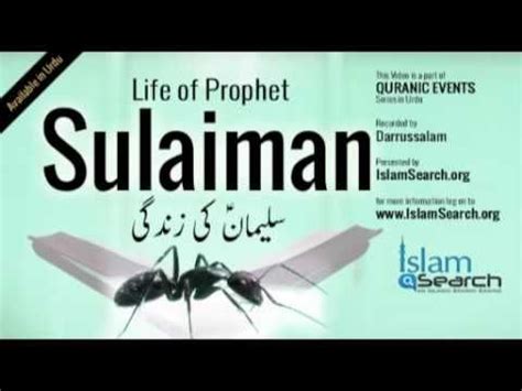 Hazrat Sulaiman A Ka Qissa Story Of Prophet Sulaiman In Urdu