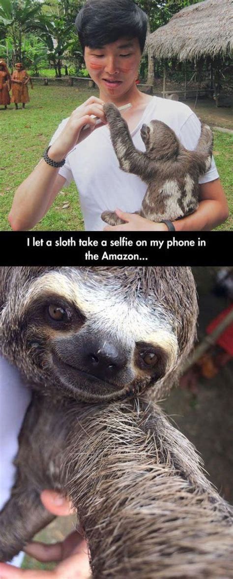 The Cutest Sloth Selfie Schattige Dieren Baby Dieren Grappige