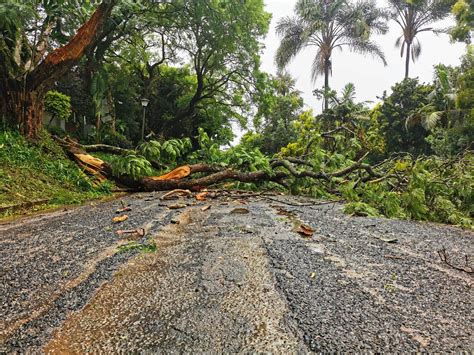 In order to apply online you will need a working email address and your south afr. IN PHOTOS: Eloise uproots trees, floods streets in ...