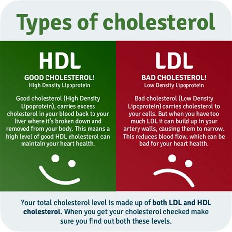 HEALTHY LIFE: New Cholesterol Guidelines Just Released - Wave Magazine ...