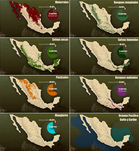 Ecosistemas De México Cuáles Son Tipos Vegetación Fauna Y Ejemplos