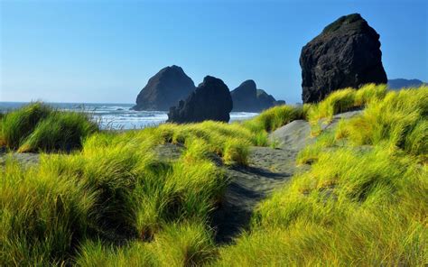 Wallpaper Landscape Sea Hill Rock Grass Coast Cliff Valley