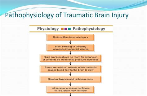 Pathophysiology Of Traumatic Brain Injury Slidesharedocs