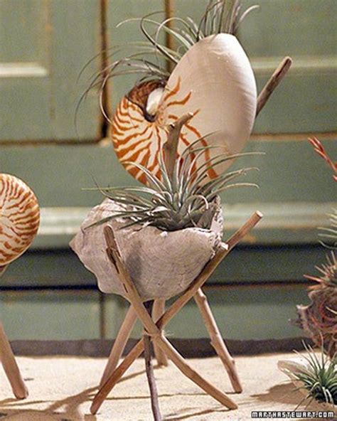 16 Adorable Seashell Craft Ideas You Should Do With Your