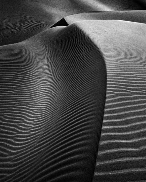 Dunes Of Nude Photograph By Txules Fine Art America