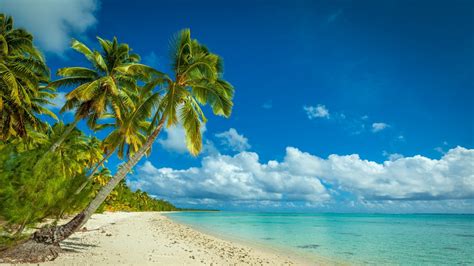 Nature Landscape Island Beach Palm Trees Tropical Sea Summer My Xxx