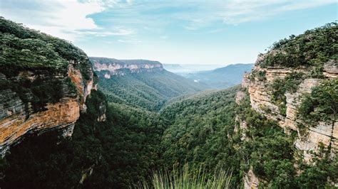 Les Blue Mountains Guide Complet Australie Backpackers