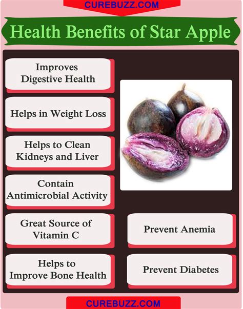 10 Health Benefits Of Star Apple Curebuzz
