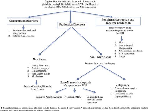 PDF Approach To Pancytopenia Diagnostic Algorithm For Clinical