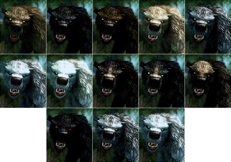 Werebear Vs Werewolf Skyrim