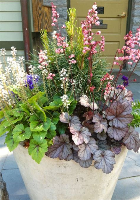 Spring flowers are fragrant and beautiful as they add color to your garden. Beautiful Spring Container Plantings from Terrain and ...