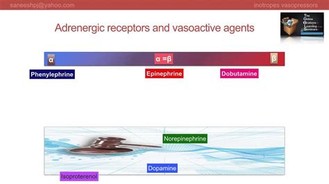 Vasopressors And Inotropes Made Easy Ppt