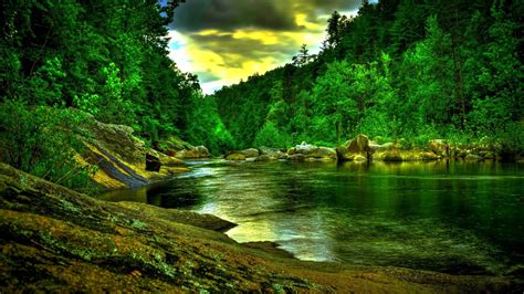 Download Beautiful Green Forest River Hdr Hd Desktop Background