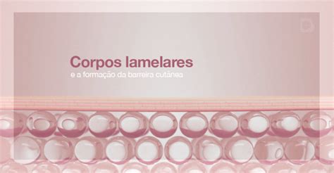 Corpos Lamelares E A Formação Da Barreira Cutânea Blog Cleber Barros