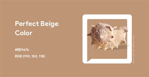 Perfect Beige Color Hex Code Is Be9676