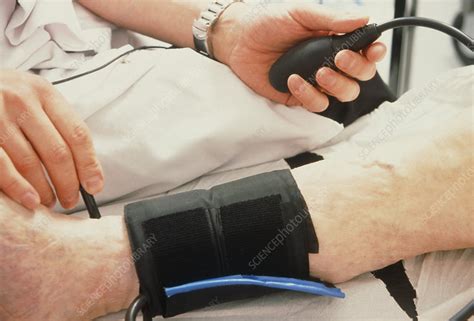Blood Pressure Measurement Stock Image M5320610 Science Photo