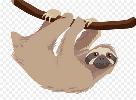 Free Sloth Transparent Background Download Free Sloth Transparent