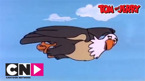 Egg And Tom And Jerry Tom And Jerry Cartoon Network Youtube