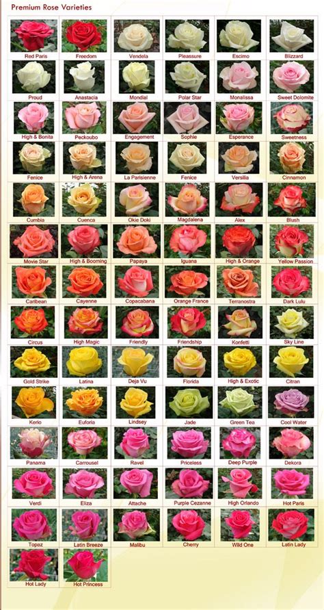 Rose Varieties Rainforest Farms And Bouquets Bondgårdar Trädgårdsidéer