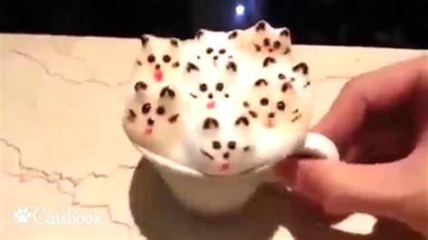 Funny Coffee Cats Youtube