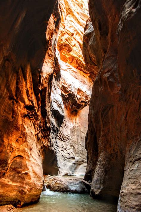 Guide To Hiking The Zion Narrows Hike With Kids