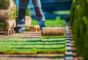 For how long i should water my new sod lawn? Tips for Watering a New Lawn: Seed or Sod - Greener Horizon