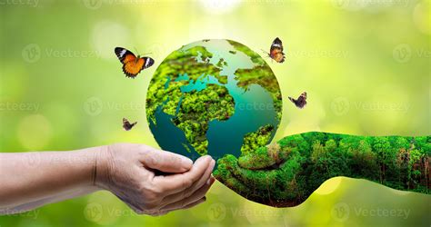 Concept Save The World Save Environment The World Is In The Grass