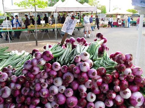 Free Images : plant, flower, purple, city, food, produce, market
