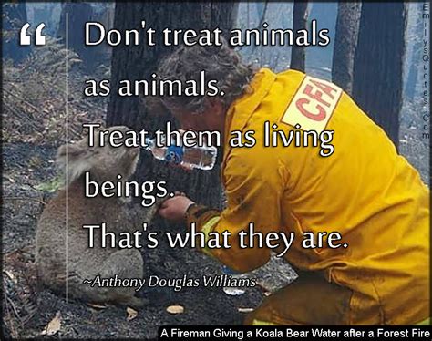 Dont Treat Animals As Animals Treat Them As Living Beings Thats