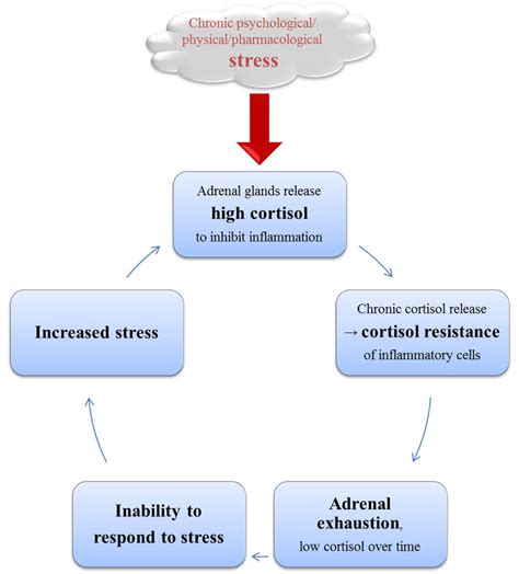 The Vicious Cycle Of Stress Induced Effects On Cortisol Level Download Scientific Diagram